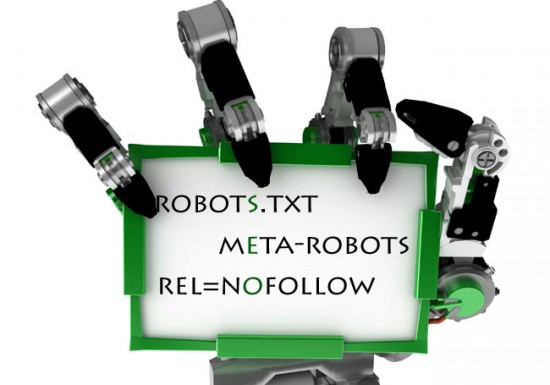 Meta Robots